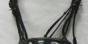 Horse Bridle