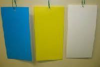 Yellow Sticky Insect Traps