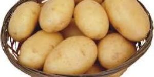 Fresh Potatoes
