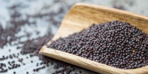 Black Mustard Seeds