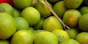 Fresh Sweet Lime