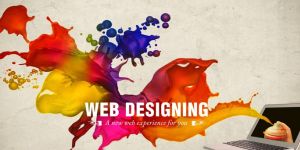 Web Designers Services