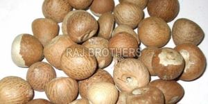 Betel Nut