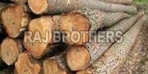 Timber Wood Logs