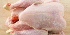 Halal Whole Frozen Chicken