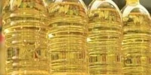 Sunflower Oil
