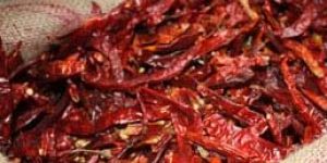 Kashmiri Chilli