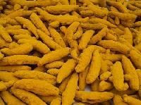 Finger Turmeric