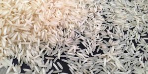 Pusa Steam Rice