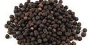 Black Pepper Seeds