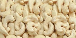 Cashew Nuts
