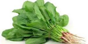 Fresh Spinach