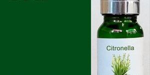 Citronella Oil