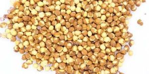 Roasted Chana