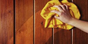 Upholstery Cleaning Services