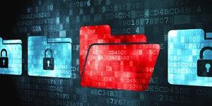 Electronic Data Management Services