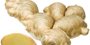 Dry Ginger