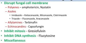 Anti Fungal Drugs