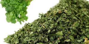 Coriander Leaves