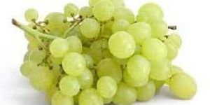 Fresh Grapes
