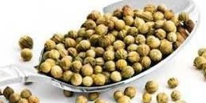 Coriander Seeds