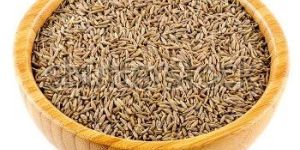 Cumin Seeds