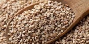 Sesame Seeds