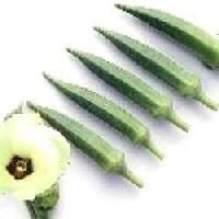 Hybrid Okra Seeds