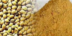 Coriander Seeds