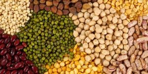 Indian Pulses