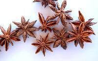 Star Anise Seeds