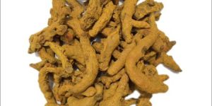 Dried Turmeric Finger