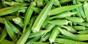 Fresh Okra