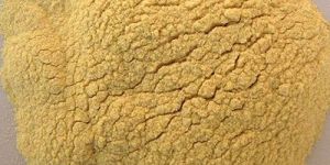 Dehydrated Potato Powder