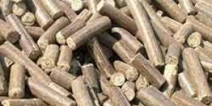 Agro Waste Briquettes