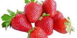 Fresh Strawberry
