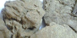 High Quality Moringa Seed Oil Cake Exporters