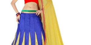 Net Lehenga Choli