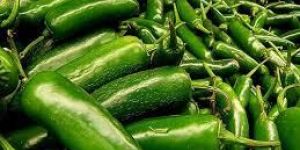 Fresh Green Chilli