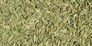 Fennel Seeds