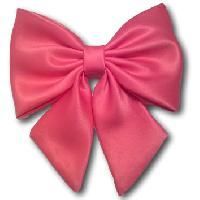 Ladies Hair Bows