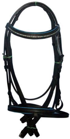 Leather Bridle