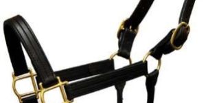 Leather Halters