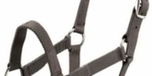 PP Horse Halters