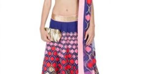Designer Lehenga Choli