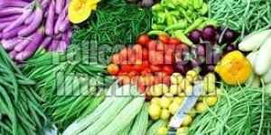 Fresh Vegetables