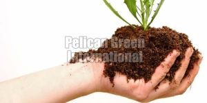 Organic Fertilizer