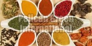 Indian Spices