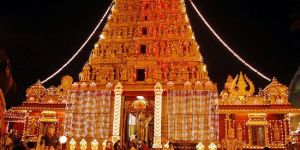 Karnataka Historical Heritage Car Bus Rentals Tour