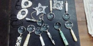 Mother of Pearl Sea Shells